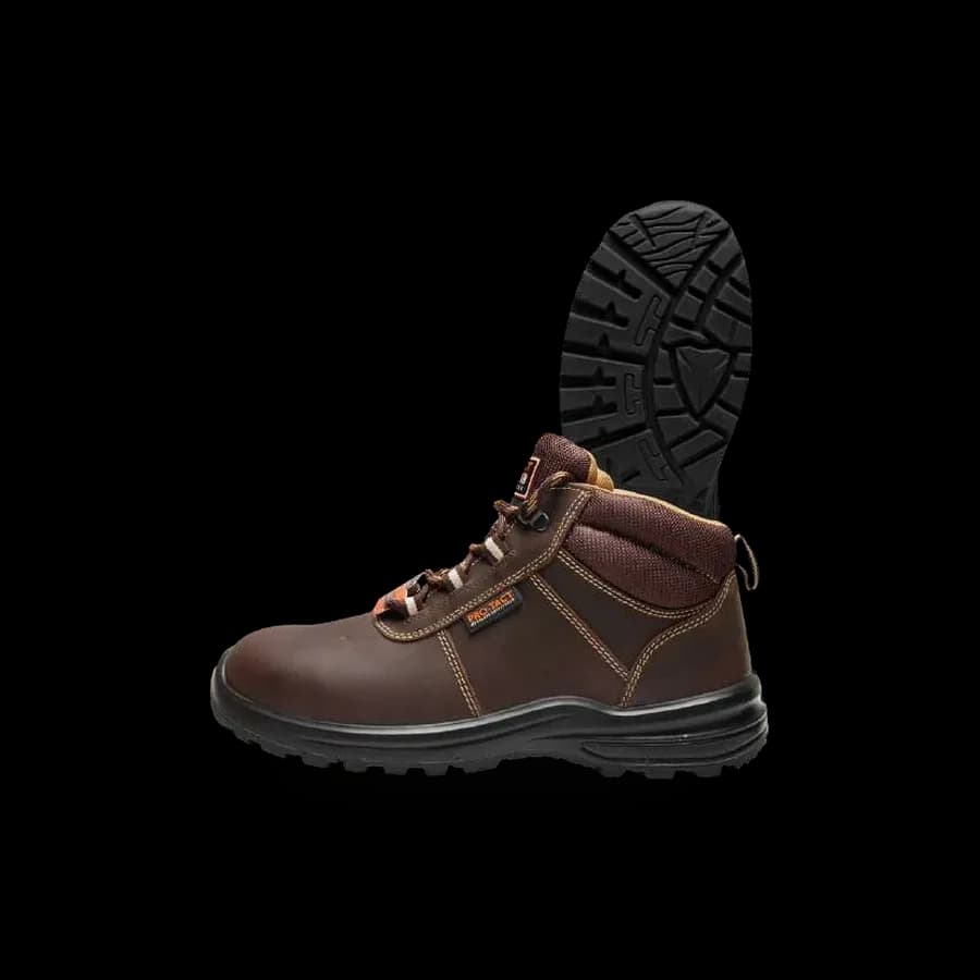 Woodland Polar II